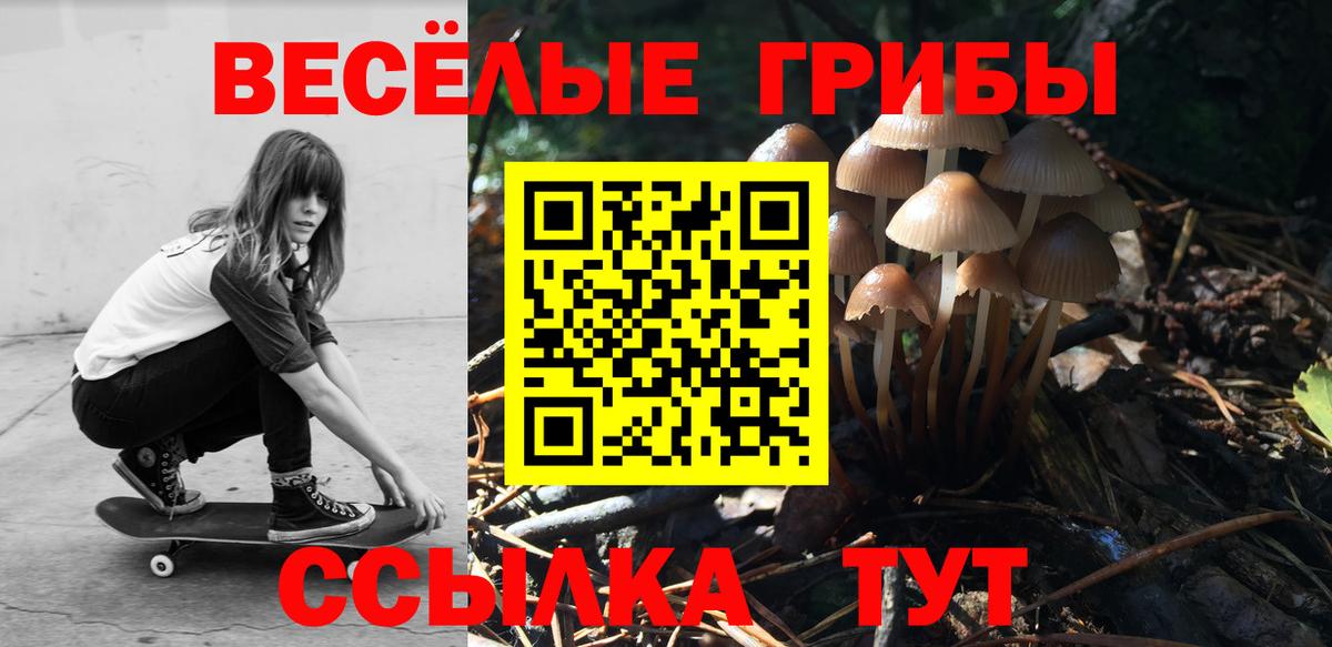 Мелеуз  Галлюциногенные грибы Psilocybine cubensis  Вход с VPN 